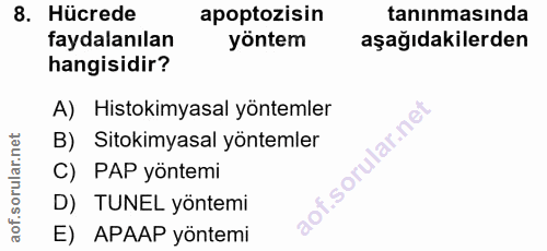 Soru 8