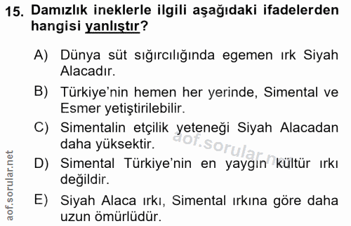 Soru 15