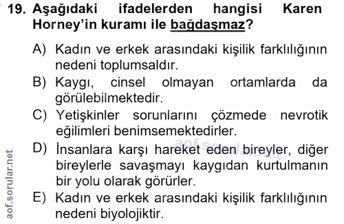 Soru 19