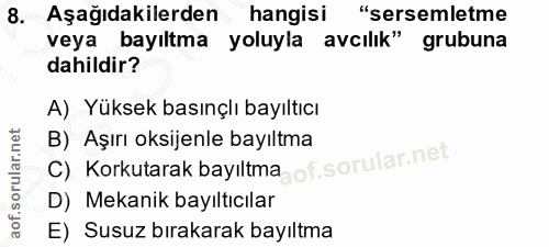 Soru 8