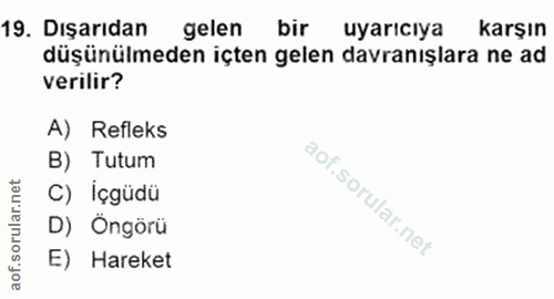 Soru 19