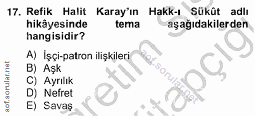 Soru 17