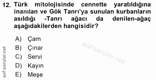 Soru 12