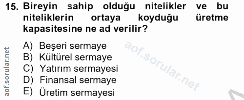 Soru 15