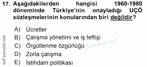 Soru 17