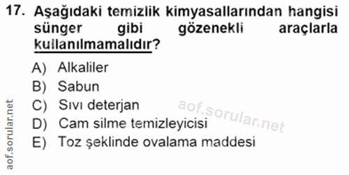 Soru 17