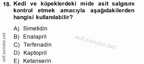 Soru 18