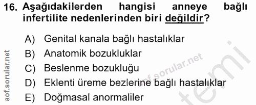 Soru 16
