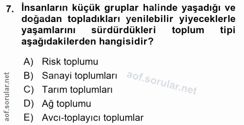 Soru 7