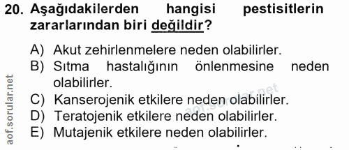 Soru 20