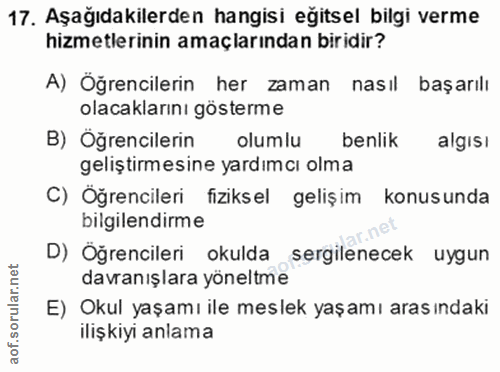 Soru 17