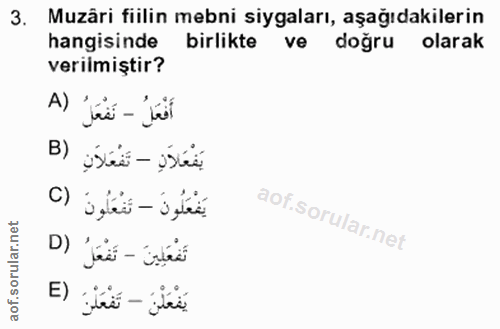 Soru 3