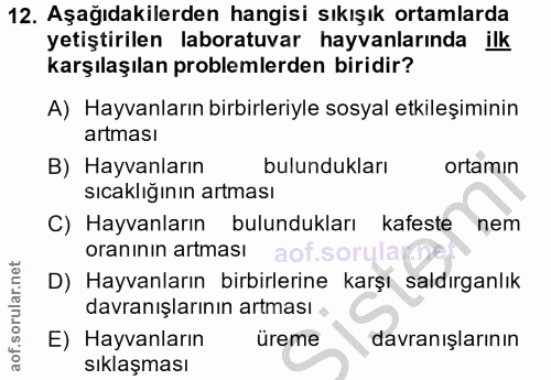 Soru 12