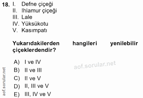 Soru 18