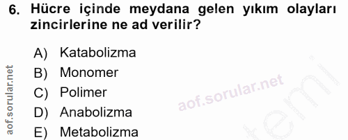 Soru 6