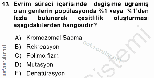 Soru 13