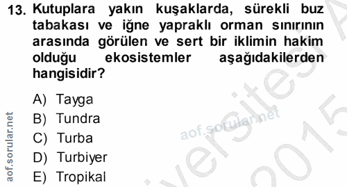 Soru 13