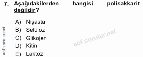Soru 7