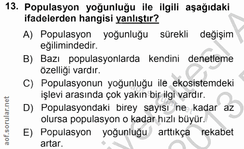 Soru 13