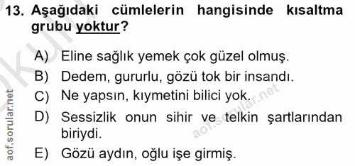 Soru 13