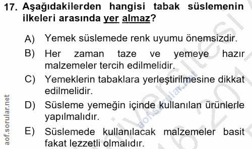Soru 17