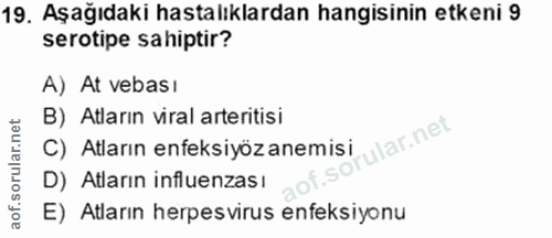 Soru 19