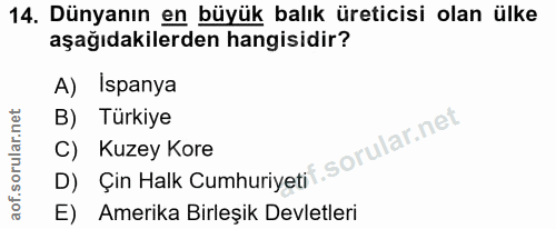 Soru 14