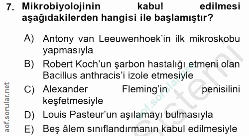 Soru 7