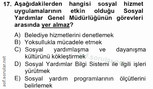 Soru 17