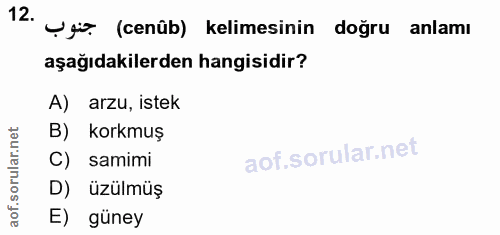 Soru 12