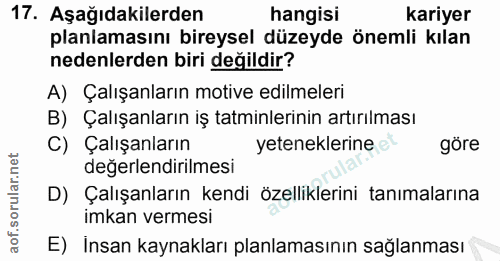 Soru 17