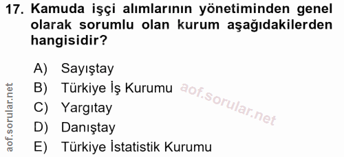 Soru 17