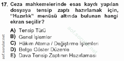 Soru 17