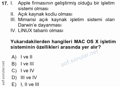 Soru 17