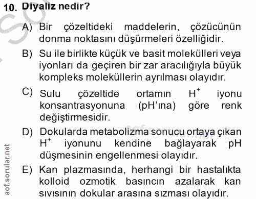Soru 10