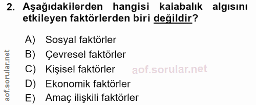 Soru 2