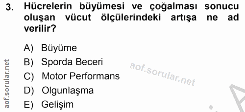 Soru 3