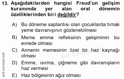 Soru 13