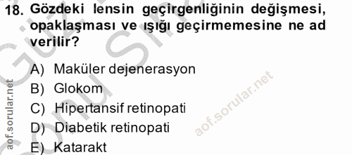 Soru 18