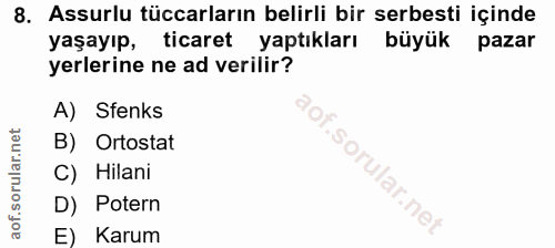 Soru 8