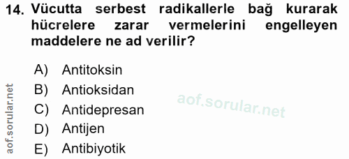 Soru 14