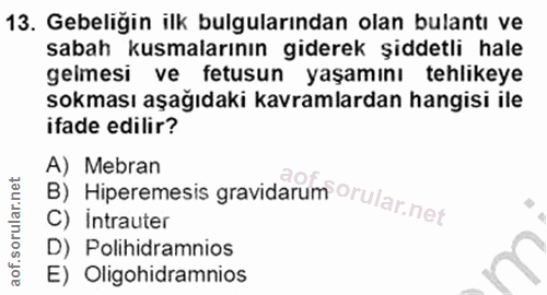 Soru 13