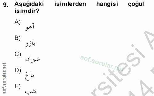Soru 9