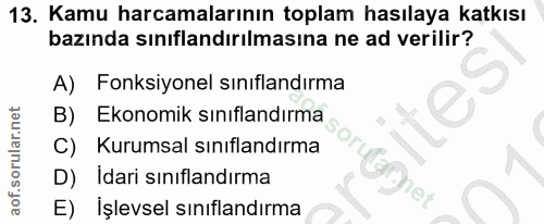 Soru 13
