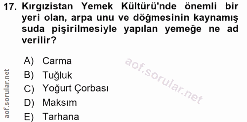 Soru 17