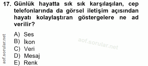 Soru 17
