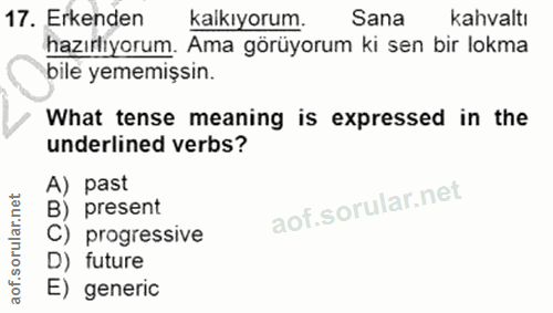 Soru 17