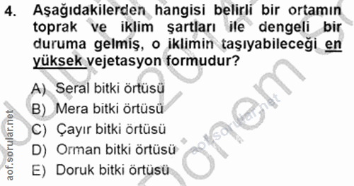 Soru 4