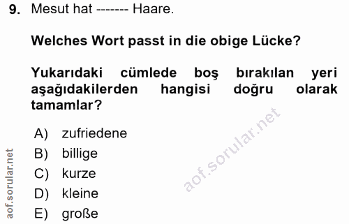 Soru 9