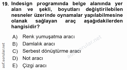 Soru 19